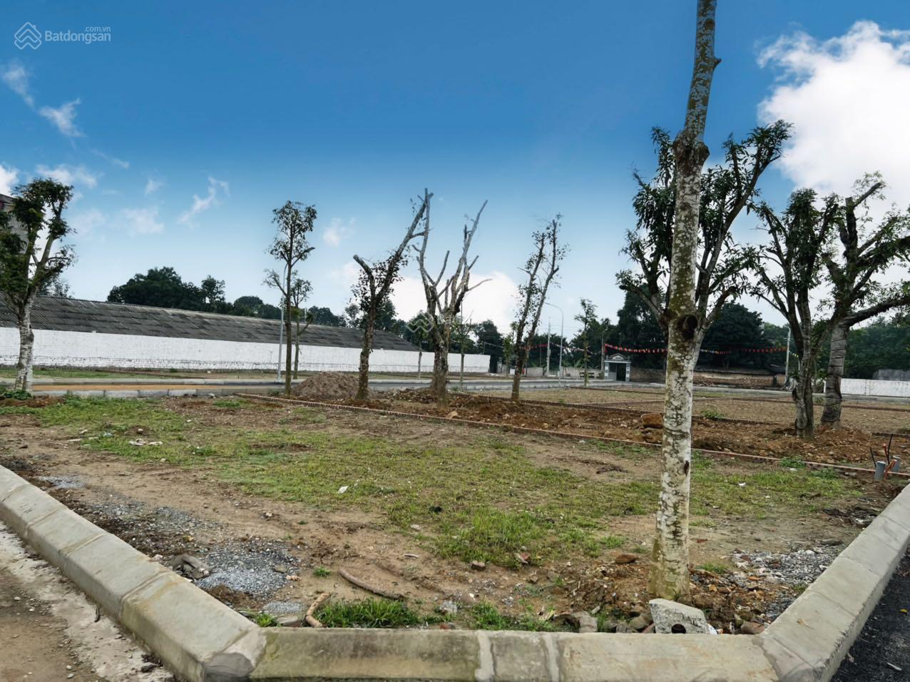 20220219155256 e8d9 wm